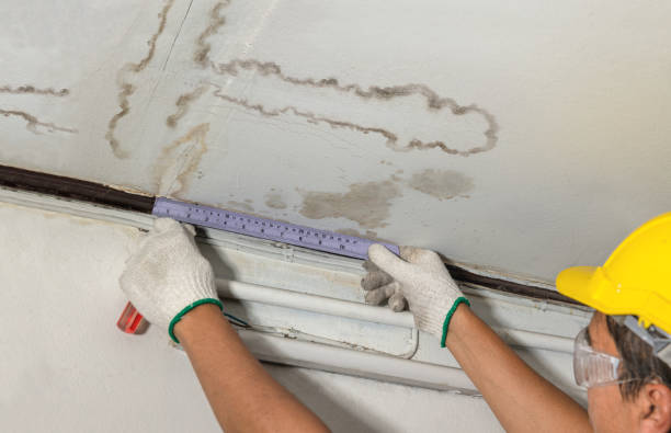Reliable Mold Remediation contractor in Kingston, MA by Water Damage Irwin